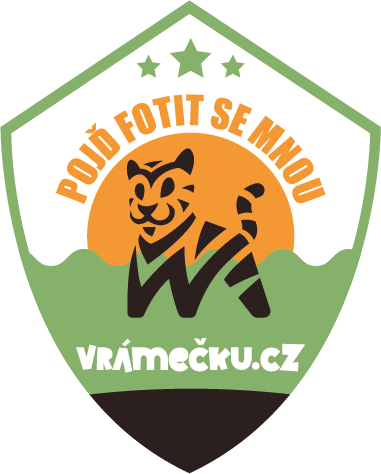 I See Wild — wildlife photography